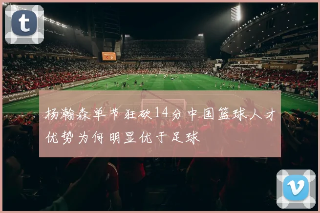 杨瀚森单节狂砍14分中国篮球人才优势为何明显优于足球