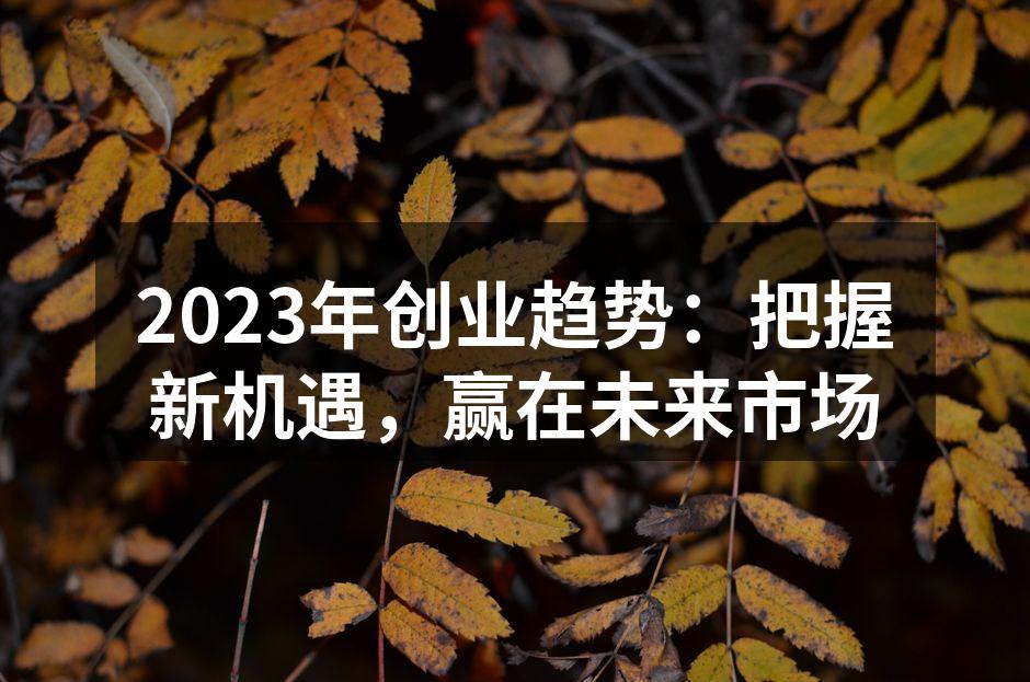 2023年创业趋势：把握新机遇，赢在未来市场